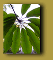 Nature photos